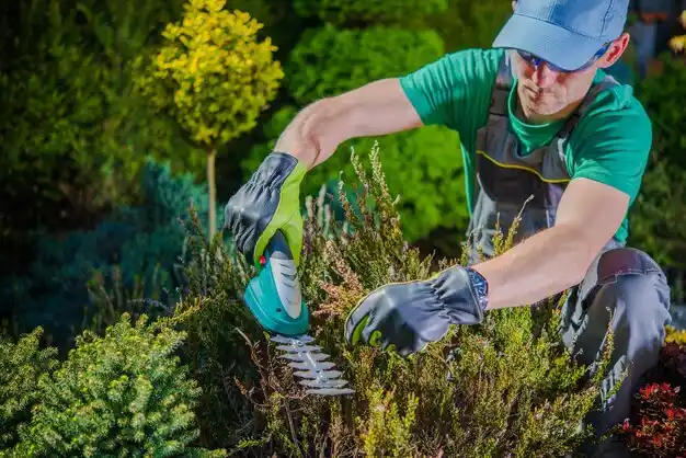 landscaping services Petoskey